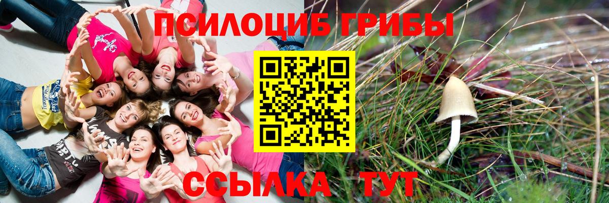 Галлюциногенные грибы GOLDEN TEACHER  Вход с VPN  Татарск 